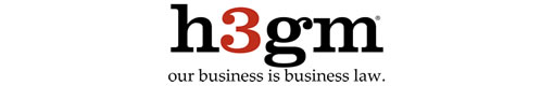 h3gm - NeXovation Partner